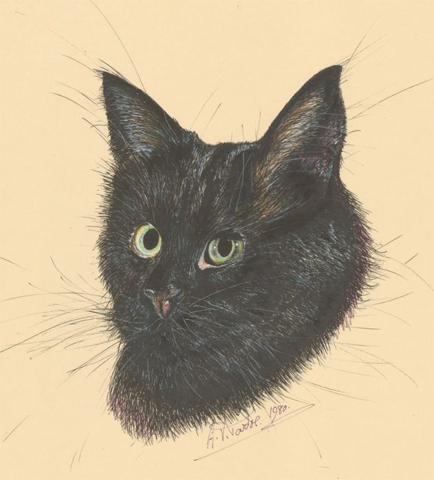 Audrey Pardoe - 1980 Pen and Ink Drawing, Portrait of a Black Cat