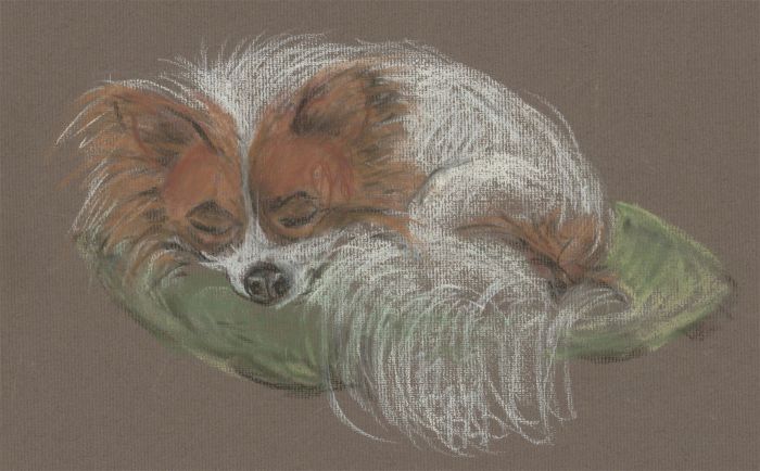 Audrey Pardoe - 1987 Pastel, Portrait of Toby