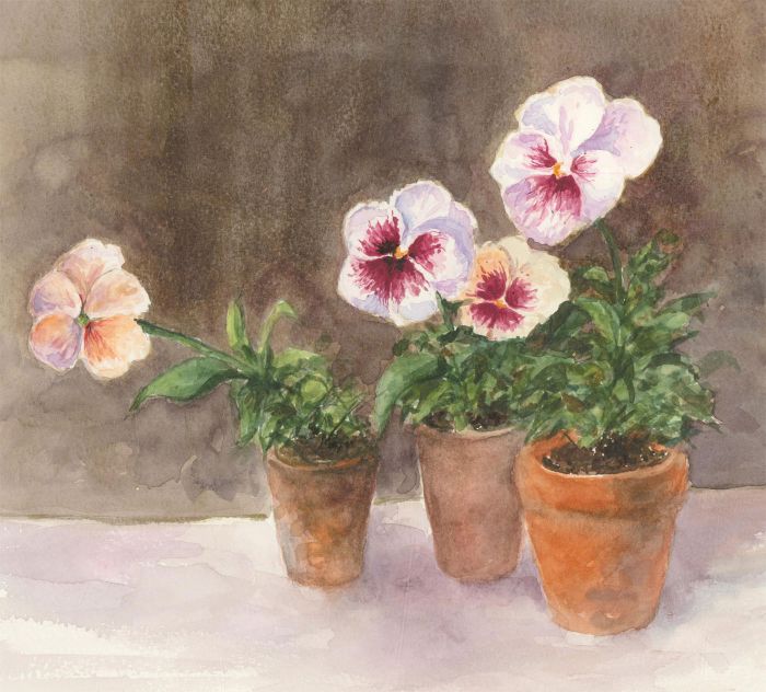 Audrey Pardoe - 20th Century Watercolour, Summer Flower Pots
