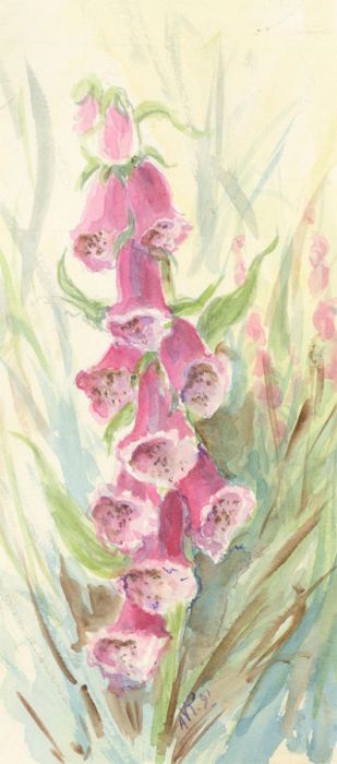 Audrey Pardoe - 1991 Watercolour, Foxgloves