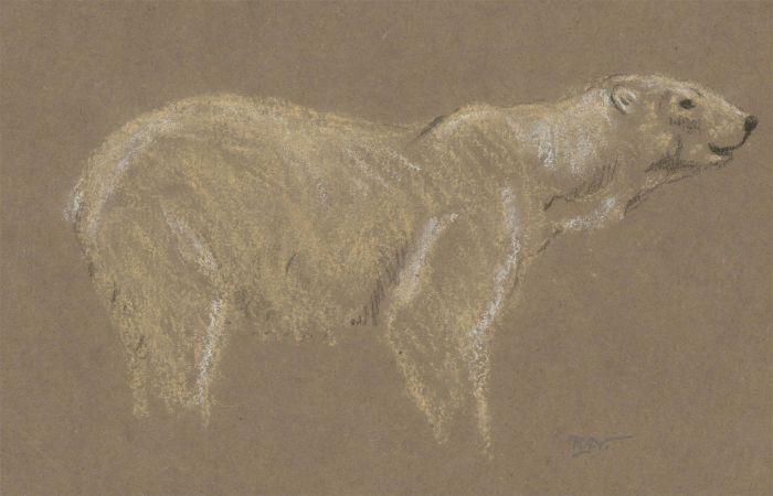 Raymond John Vandenbergh - Early 20th Century Chalk Drawing, A Polar Bear