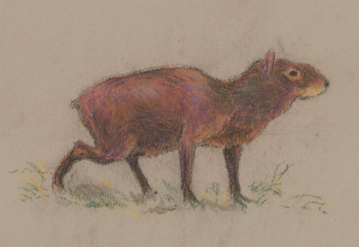 Raymond John Vandenbergh (b.1889) - 1923 Pastel, Agouti