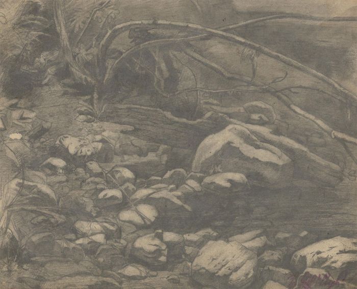 H. Philips - Mid 20th Century Graphite Drawing, Foliage and Rocks Study