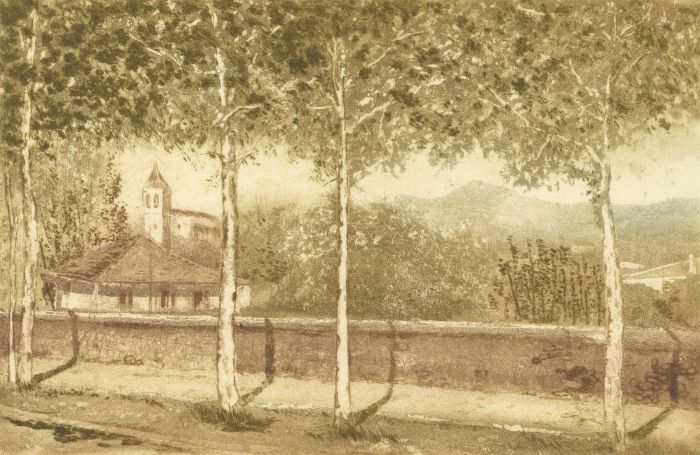 20th Century Etching - View Through the Trees into the Mountains