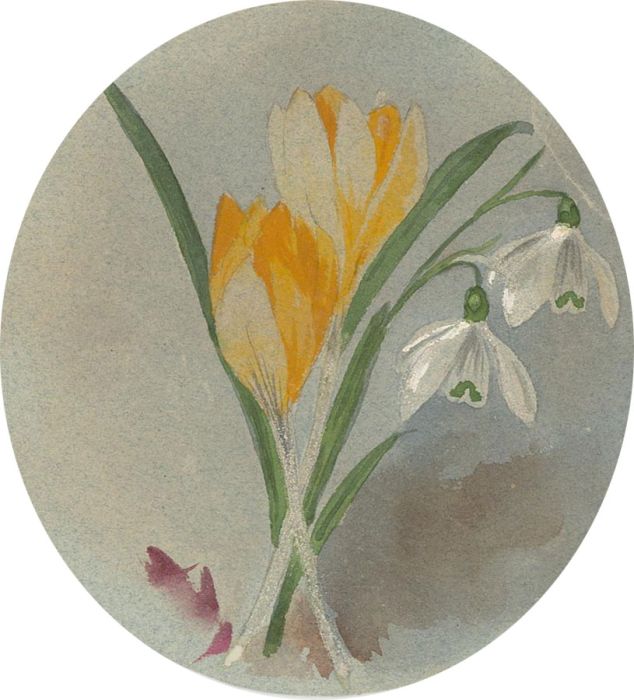 Margaret Forde Hancock - A Set of Three Late 19C Watercolour, Crocus & Snowdrops