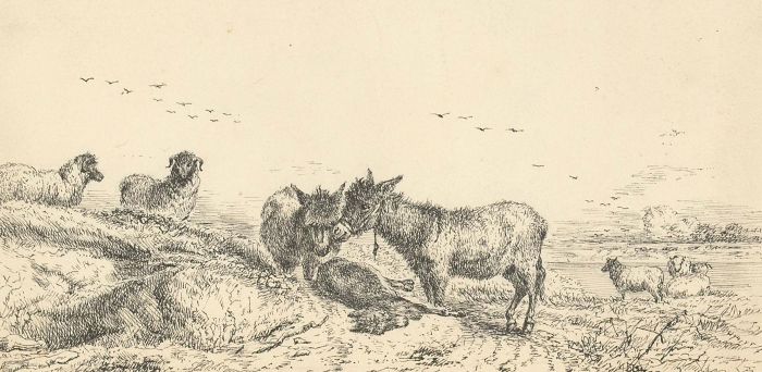 Margaret Forde Hancock - A Pair of 19C Pen and Ink Drawings, Donkeys of Minehead