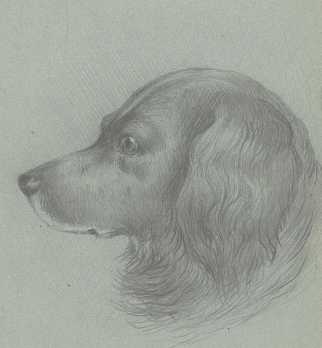 Margaret Forde Hancock - Late 19th Century Graphite Drawing, Duke