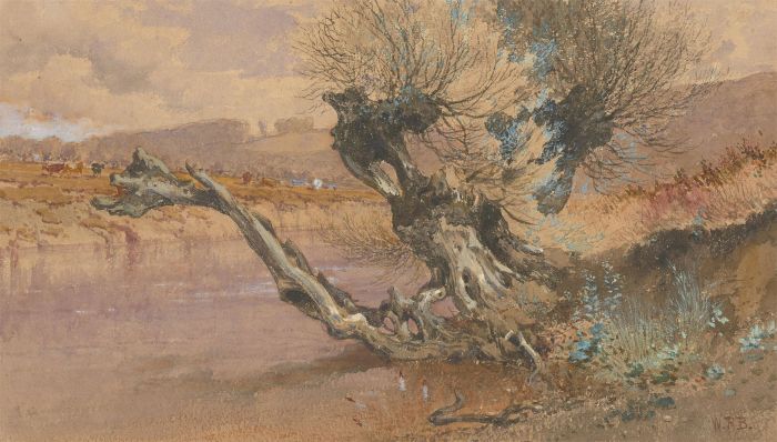 William Roxby Beverley (1811-1889) - Watercolour, Landscape with Old Tree