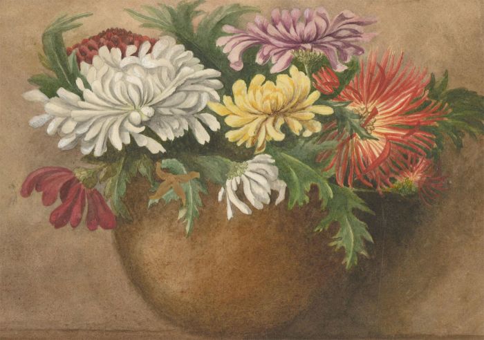 P.W.N.G. - Signed Late 19th Century Watercolour, Chrysanthemums