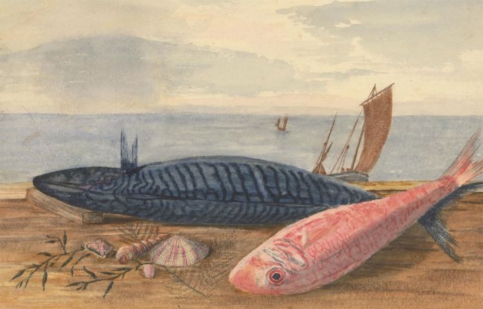 P.W.N.G - 1882 Watercolour, Proverbs