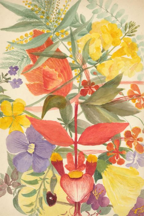 P.W.N.G - Late 19th Century Watercolour, Vibrant Flower Still Life Study