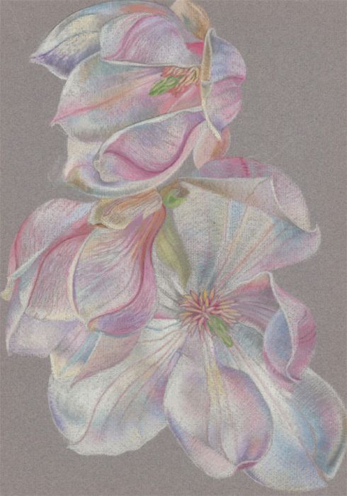 John Ivor Stewart PPPS (1936-2018) - 20th Century Pastel, Pink Flowers