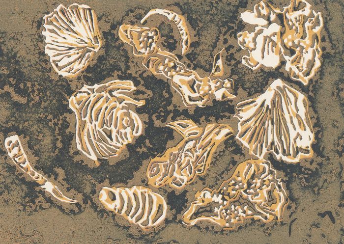 Margaret Estelle Zelda Levinson - 20th Century Silkscreen, Dorset Fossils II