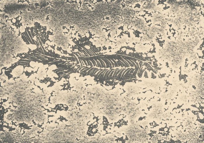 Margaret Estelle Zelda Levinson - 20th Century Lithograph, Fossil