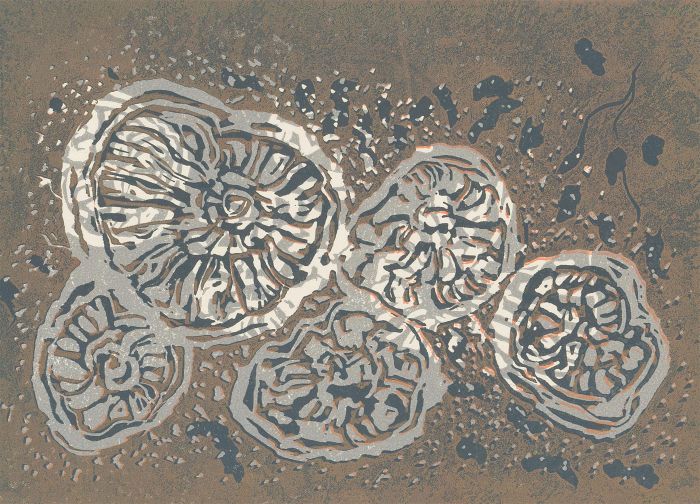 Margaret Estelle Zelda Levinson - 20th Century Silkscreen, Dorset Fossils I