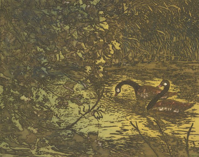 Margaret Estelle Zelda Levinson - 20th Century Aquatint, In Dappled Waters