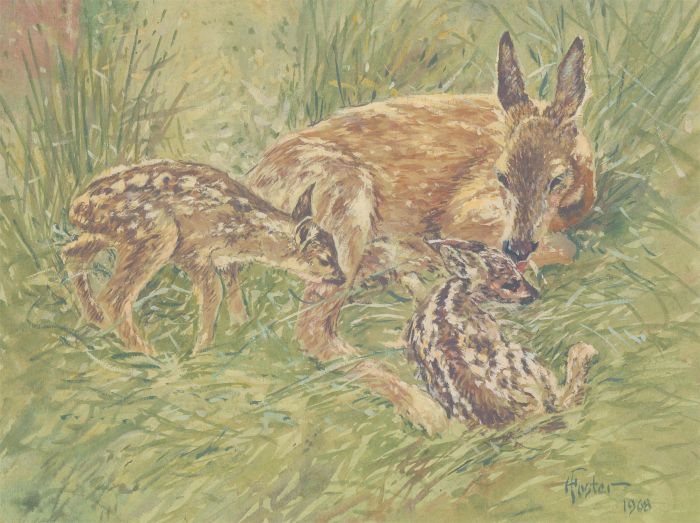 Henry E. Foster (1921-2010) - 1968 Watercolour, Deer and Fawn