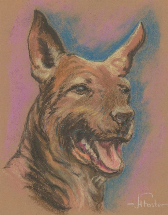 Henry E. Foster (1921-2010) - Mid 20th Century Pastel, Head Study of a Dog