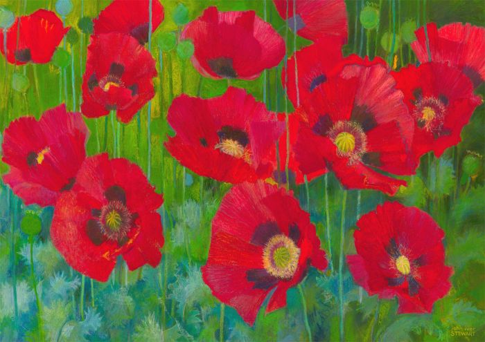 John Ivor Stewart PPPS (1936-2018) - Contemporary Pastel, Red Poppies