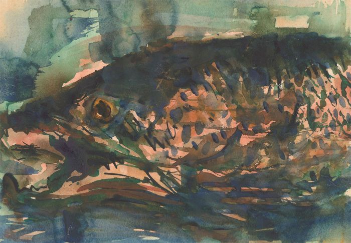 Mid 20th Century Watercolour - Abstract Fish
