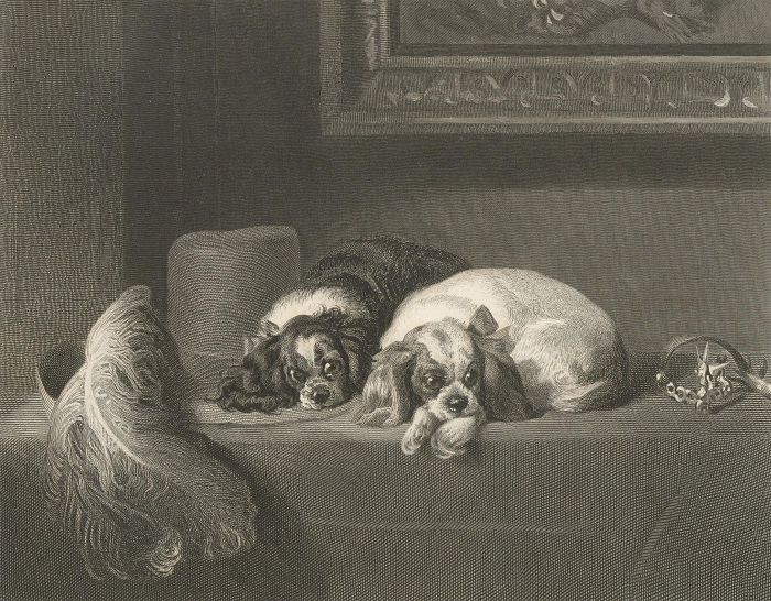 J. Outrim (fl. 1834 - 1854) - Early 20th Century Engraving, The Cavalier's Pets