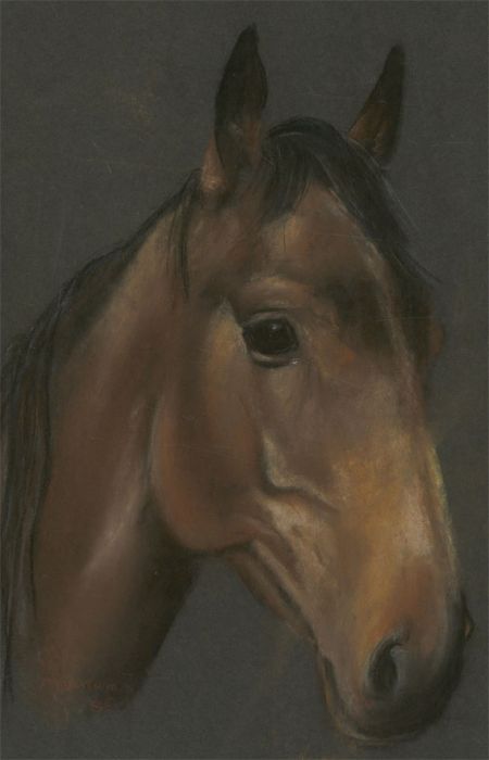 1980 Pastel - Head of a Horse
