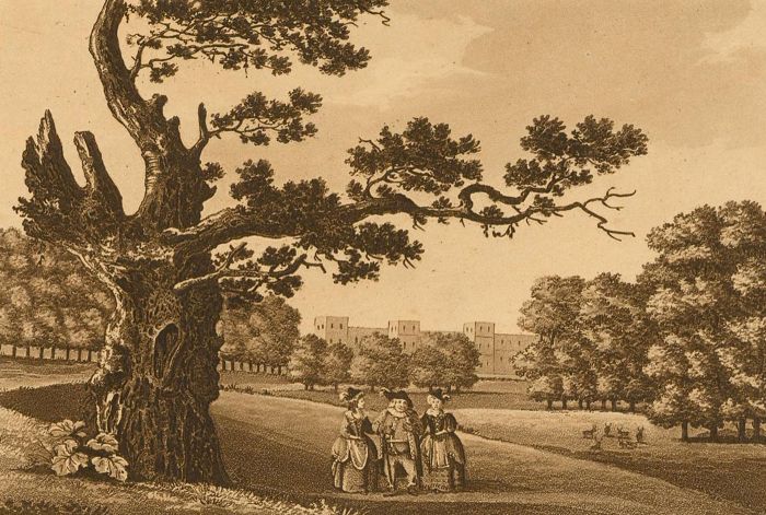 Samuel Ireland (1744-1800) - 1977 Aquatint, Hernes Oak, Windsor Park