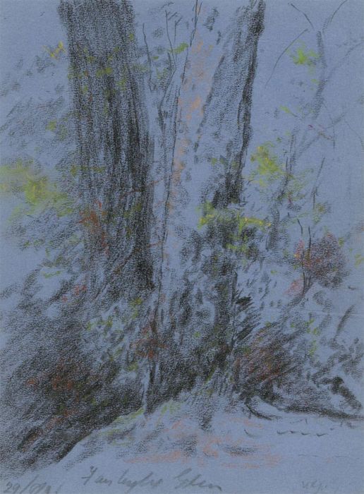 W.G. - Early 20th Century Charcoal Drawing, Two Trees