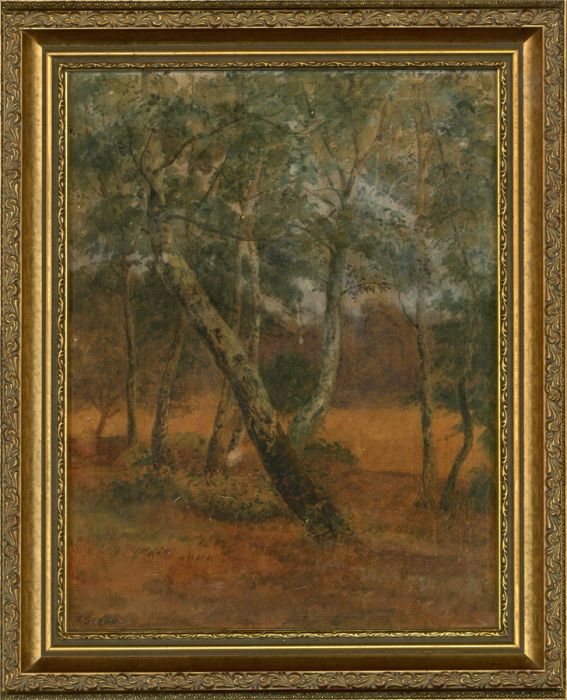 A. Seear - Framed Late 19th Century Watercolour, Woodland Scene