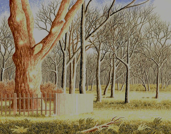 Ronald A. Broad - 1990 Watercolour, Knightwood Oak, The New Forest, Hampshire