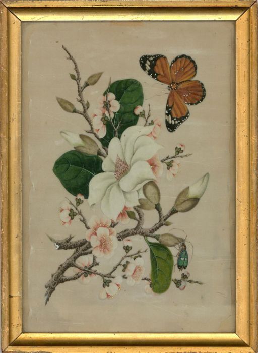 Mid 19th Century Gouache - Magnolia And Sakura Blossom With Butterfly