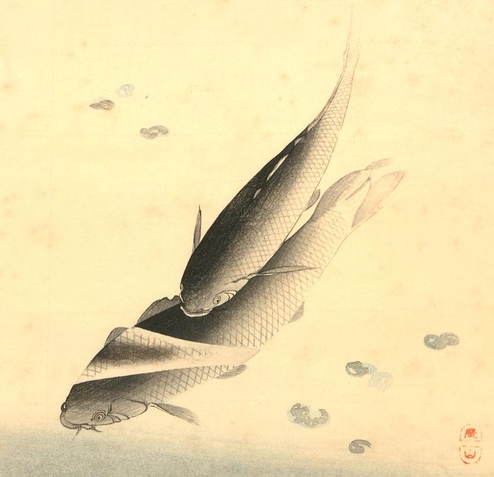 20th Century Watercolour - Koi Fish