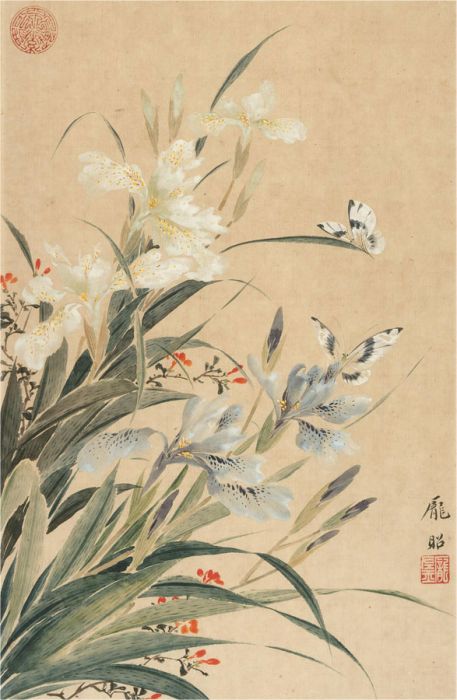 20th Century Watercolour - Irises and Butterflies
