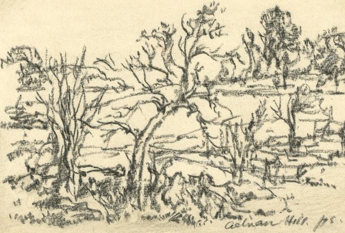 Adrian Hill PROI RBA (1895-1977) - 1975 Charcoal Drawing, Tree Lined Fields