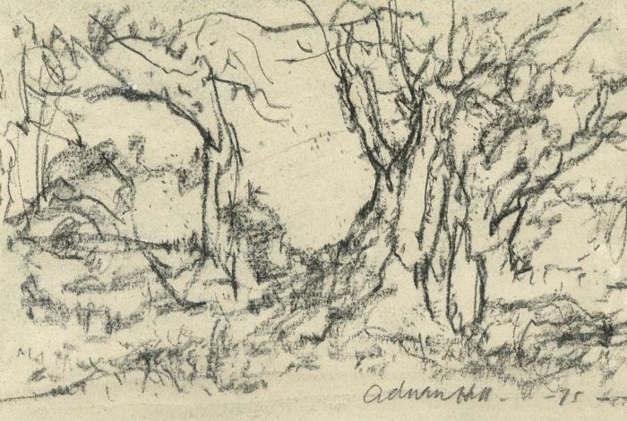Adrian Hill PROI RBA (1895-1977) - 1975 Charcoal Drawing, Tree Diminishments