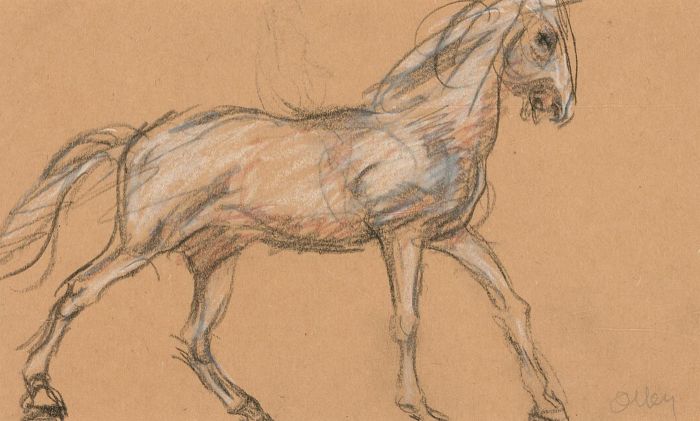 Ronald Olley (b.1923) - Mid 20th Century Graphite Drawing, Study of a Horse