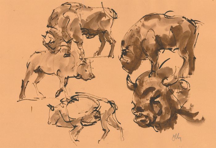 Ronald Olley (b.1923) - Signed Mid 20th Century Pen and Ink Drawing, Study of a Bull