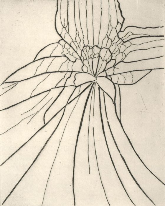 Contemporary Etching - Glass Shatter