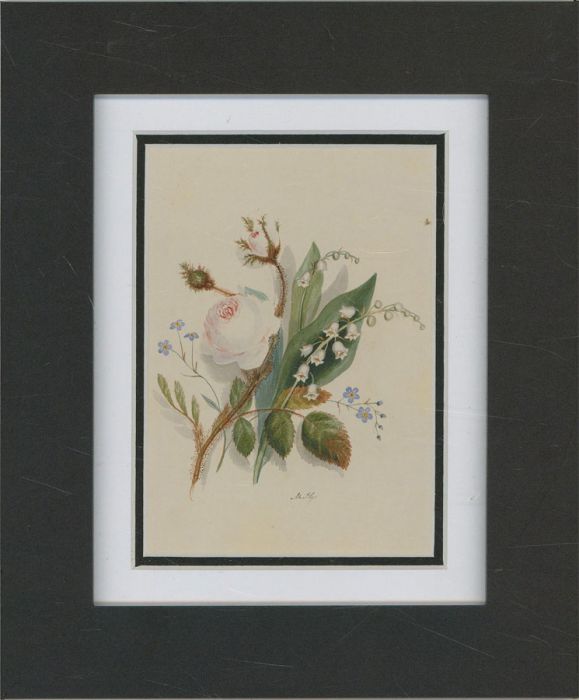 M.A.G - Framed Mid 19th Century Watercolour, Botanical Study, Spring Blooms