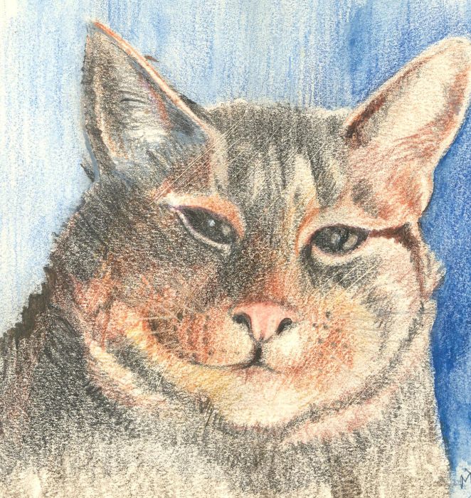 M.D. - 1991 Pastel, Smiling Cat