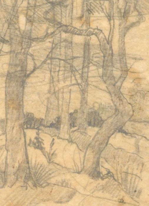 Marcus Algernon Adams (1875-1959) - Four Studies of Nature