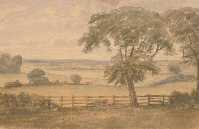 A.P - 1861 Watercolour, Landscape Study, Highgate