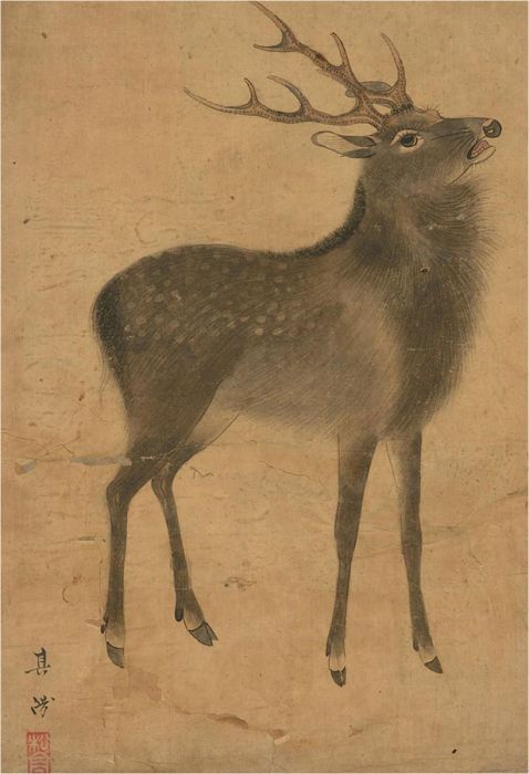 18th Century Watercolour - Milu Deer