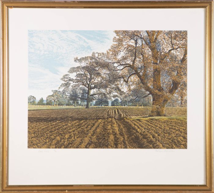 Graham Evernden (b.1947) - 1983 Etching with Aquatint, Home Field