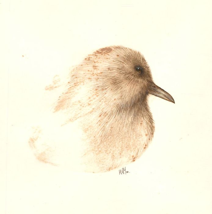 Kay - 2000 Watercolour, Fledgling