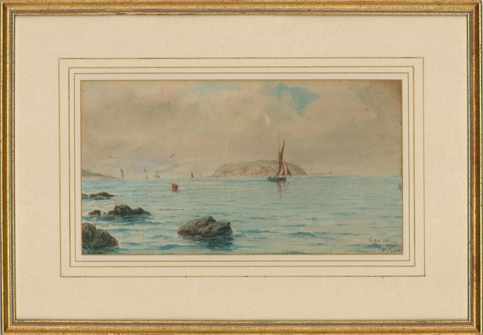 J.W. Eyton - 1884 Watercolour, Puffin Island