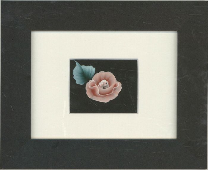 Contemporary Gouache - Pastel Rose
