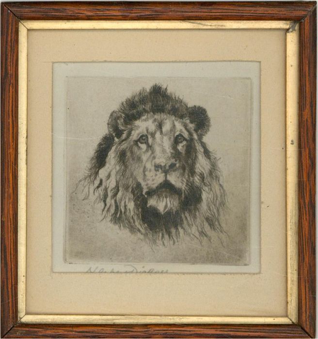 Herbert Dickens - Late 19th Century Etching, Lion Head Study