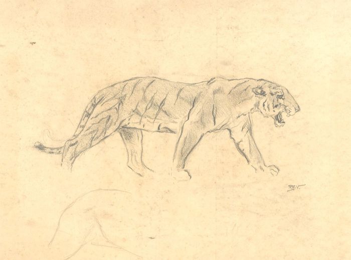Raymond John Vandenbergh (b.1889) - Early 20th Century Graphite Drawing, Tiger