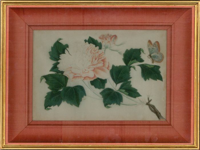 Early 20th Century Watercolour - Peony with Butterfly